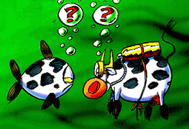 vache plongeur.gif (21511 octets)