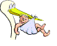 baby2.gif (5075 octets)