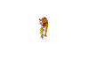 Tigre pour la chine.gif (38928 octets)